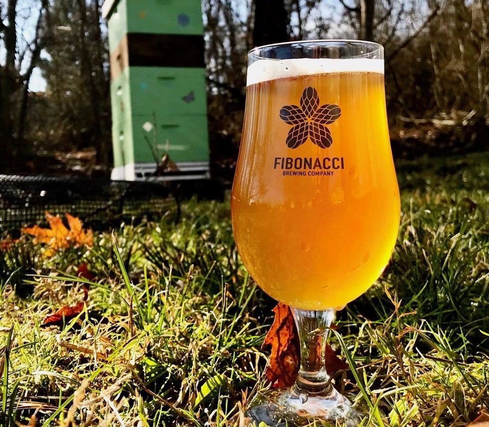 A Fibonacci Brewing Company cream ale infused with locally sourced honey and Thai basil. (Photo courtesy of Chelle Magin/Fibonacci Brewing Company)