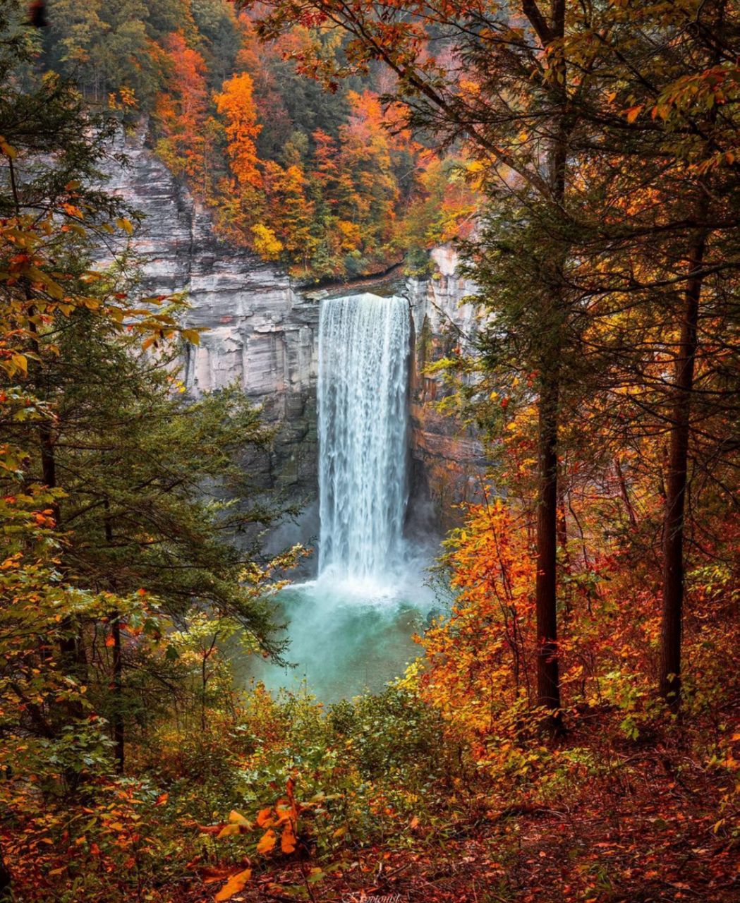 Fall Foliage Upstate New York