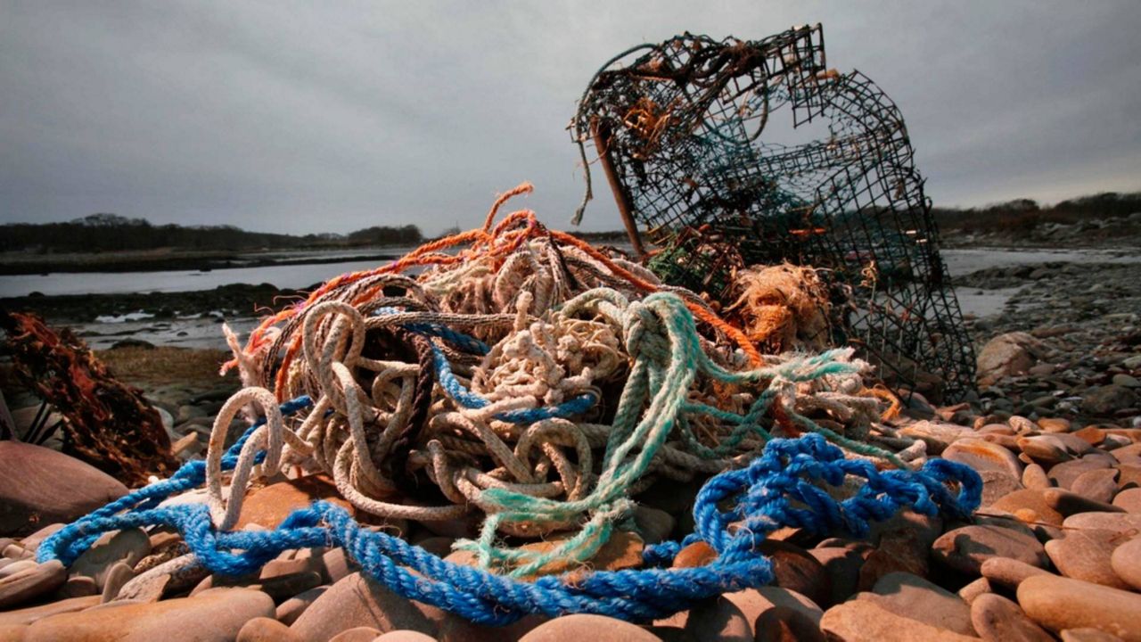 Washed up fishing gear on the shore including ropes and fishing