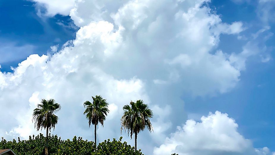 (Photo by Bryan Karrick)