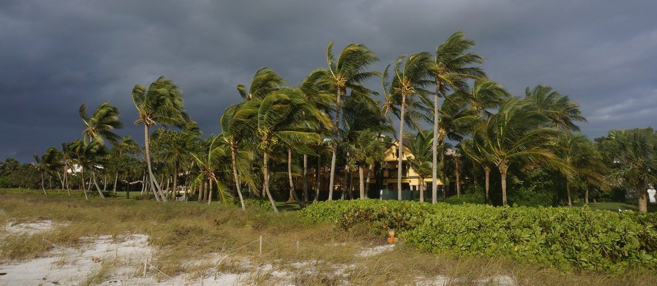 Rough surf on beach