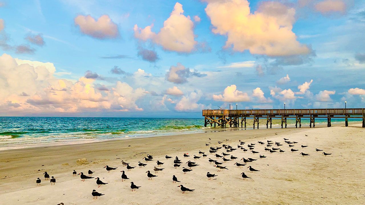 Florida Coasts (Photo: Jim Sacarello)