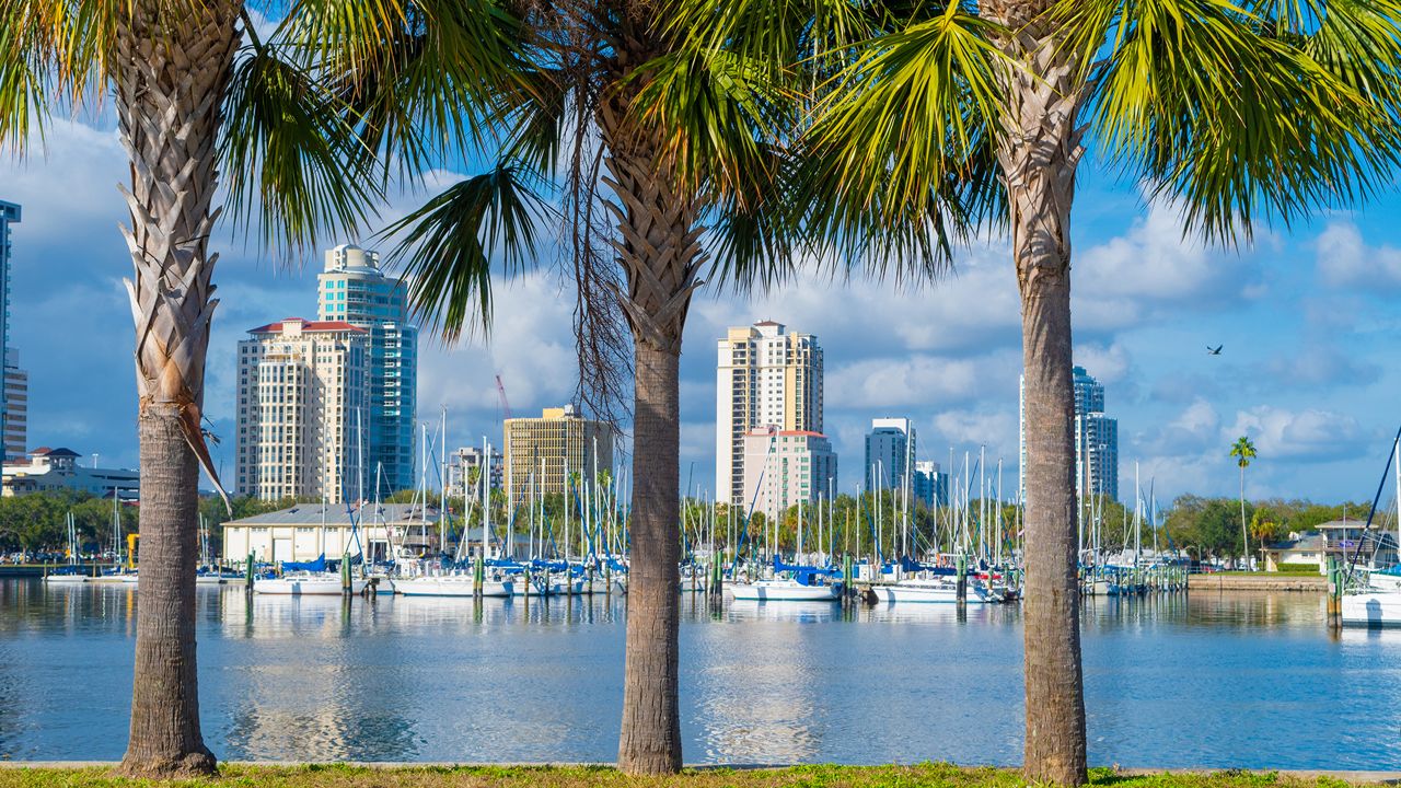 Tampa skyline through palm trees