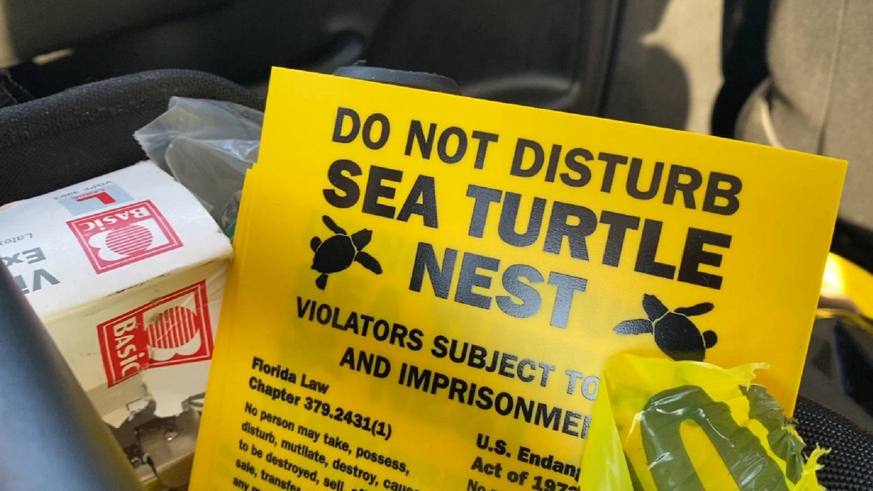 Sea turtle nesting season begins May 1
