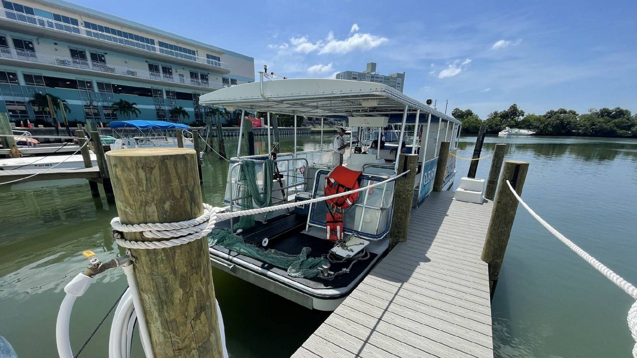 Sea Life Safari Nature Cruise explores Clearwater Bay