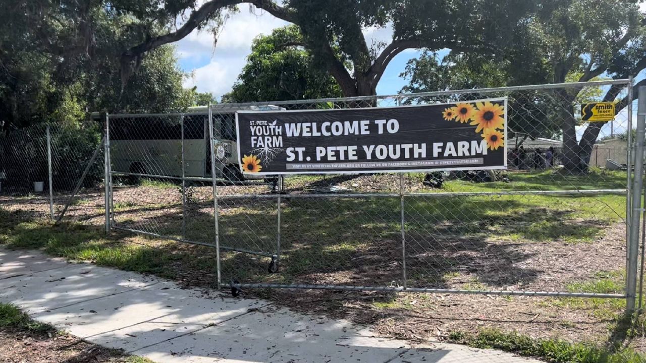 St. Pete Youth Farm teaches life lessons