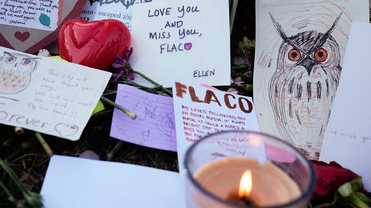 People left photos, flowers, poems and other tributes to Flaco the owl in Central Park earlier this month. They are pictured.