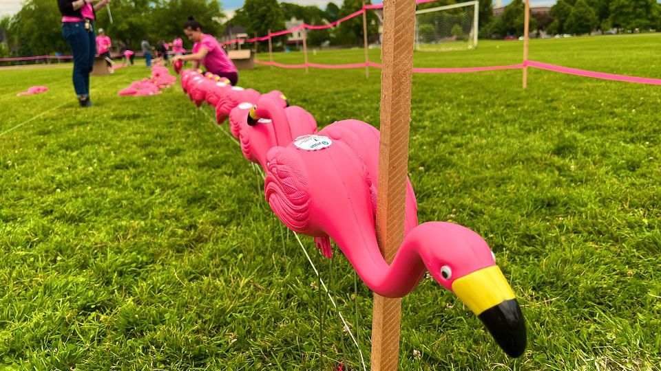 come with us to get a flamingo stanley 🦩 #flamingostanley