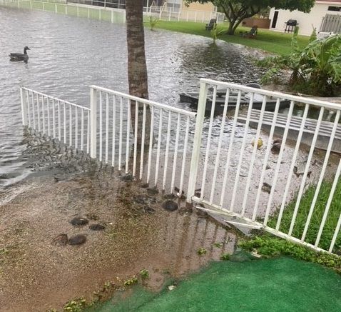 Backyard flooding in Pembroke Pines, Florida