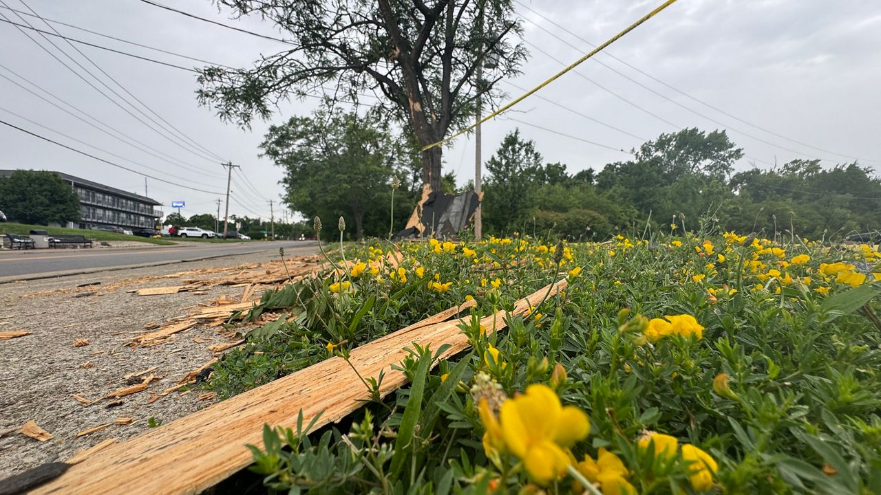 Overnight storms leave Northern Kentucky businesses without power