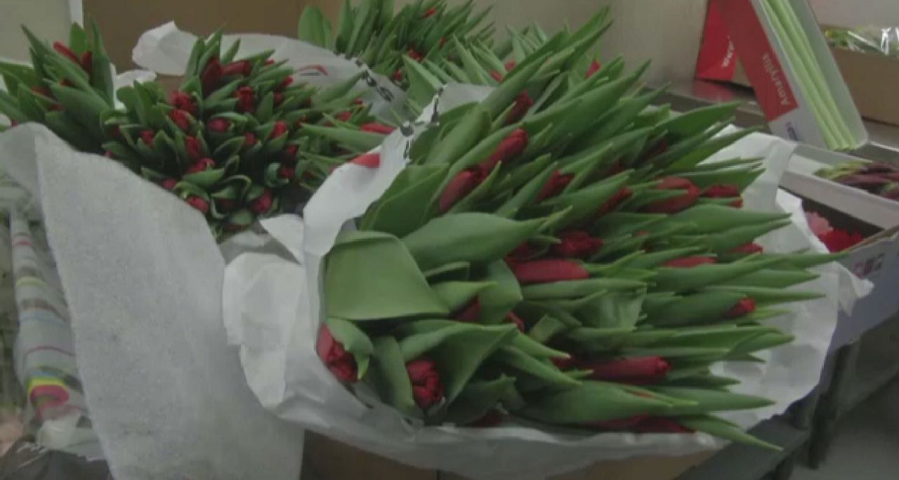 Valentine’s Day Flowers Undergo Inspection at JFK Airport
