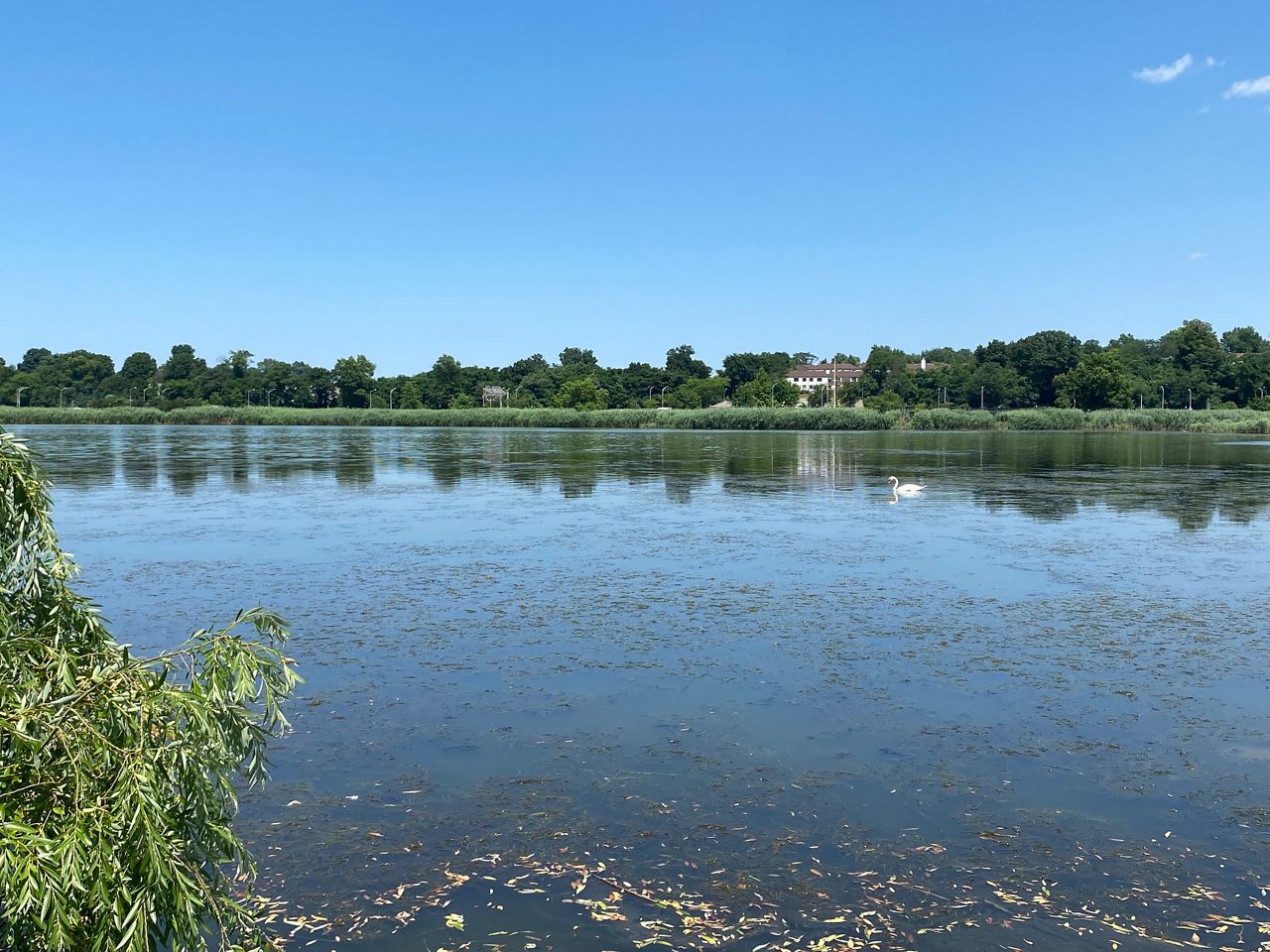 A day in Flushing MeadowsCorona Park