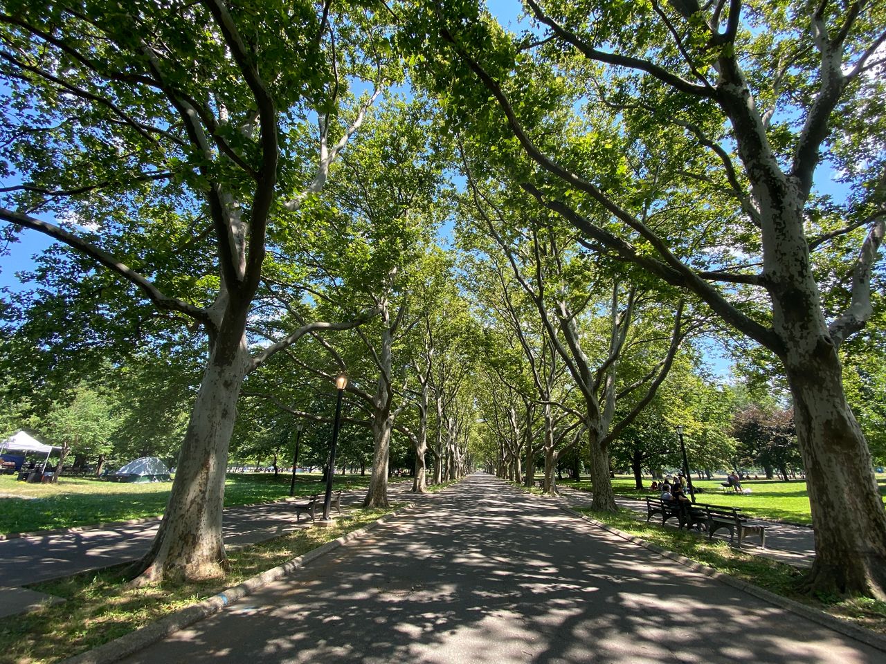 Flushing Meadows Corona Park Cherry Blossom 2024 - Joete Lynsey