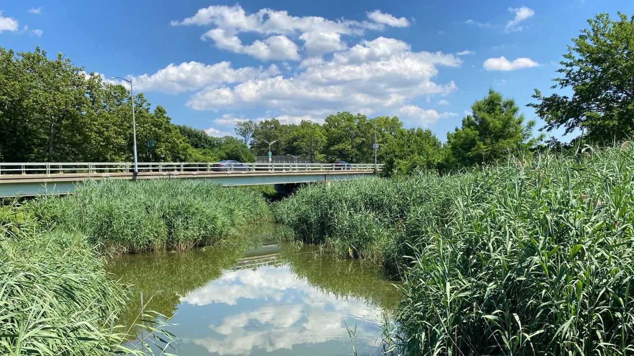 A wide view of a marshy wetland with pedestrian bridge in middle distance under a blue sky dotted with puffy clouds that are reflected in the pond.