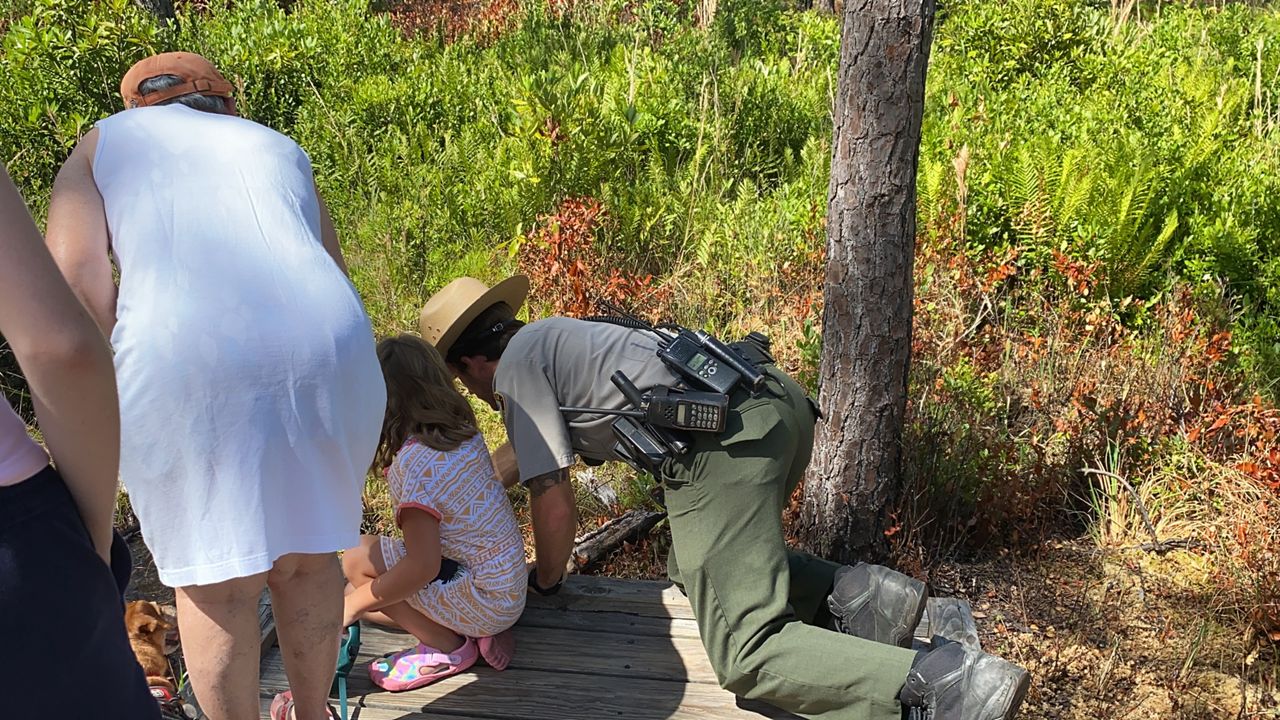 Caring for your Venus Flytrap – NC Coastal Land Trust