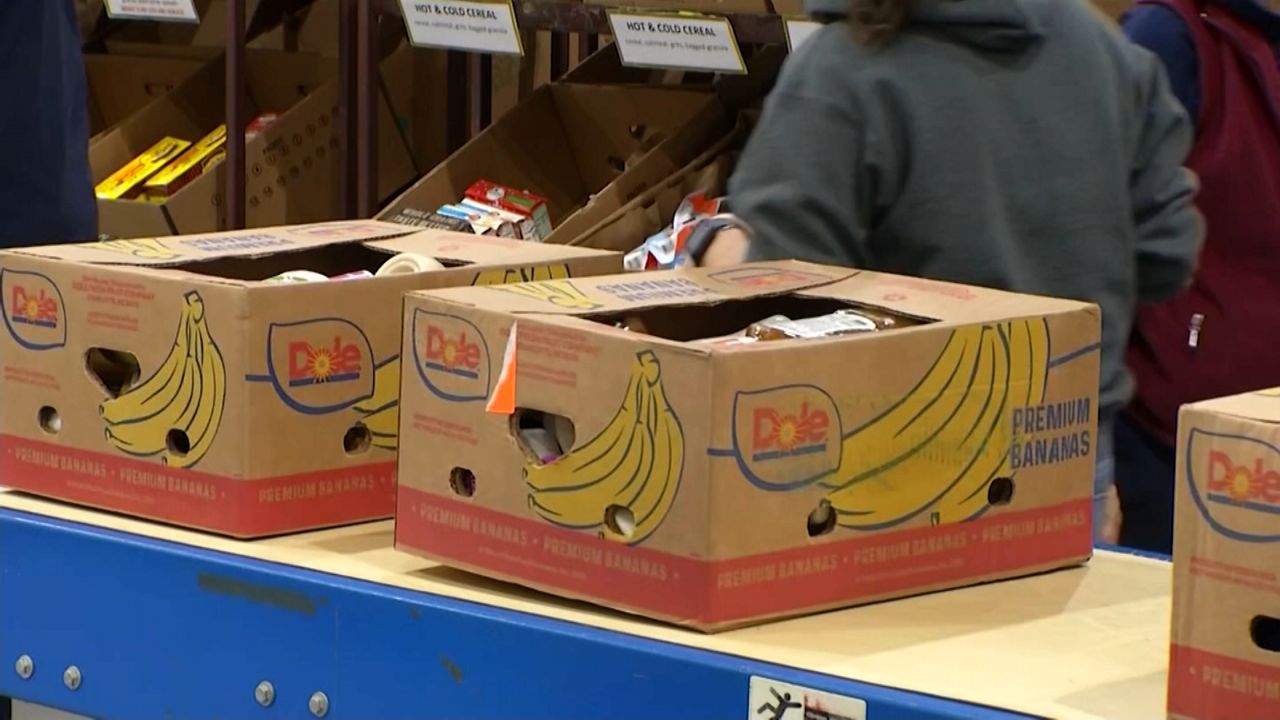 How organizations in New York are tackling food insecurity