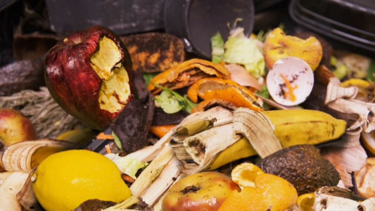 Discussing the importance of reducing food waste