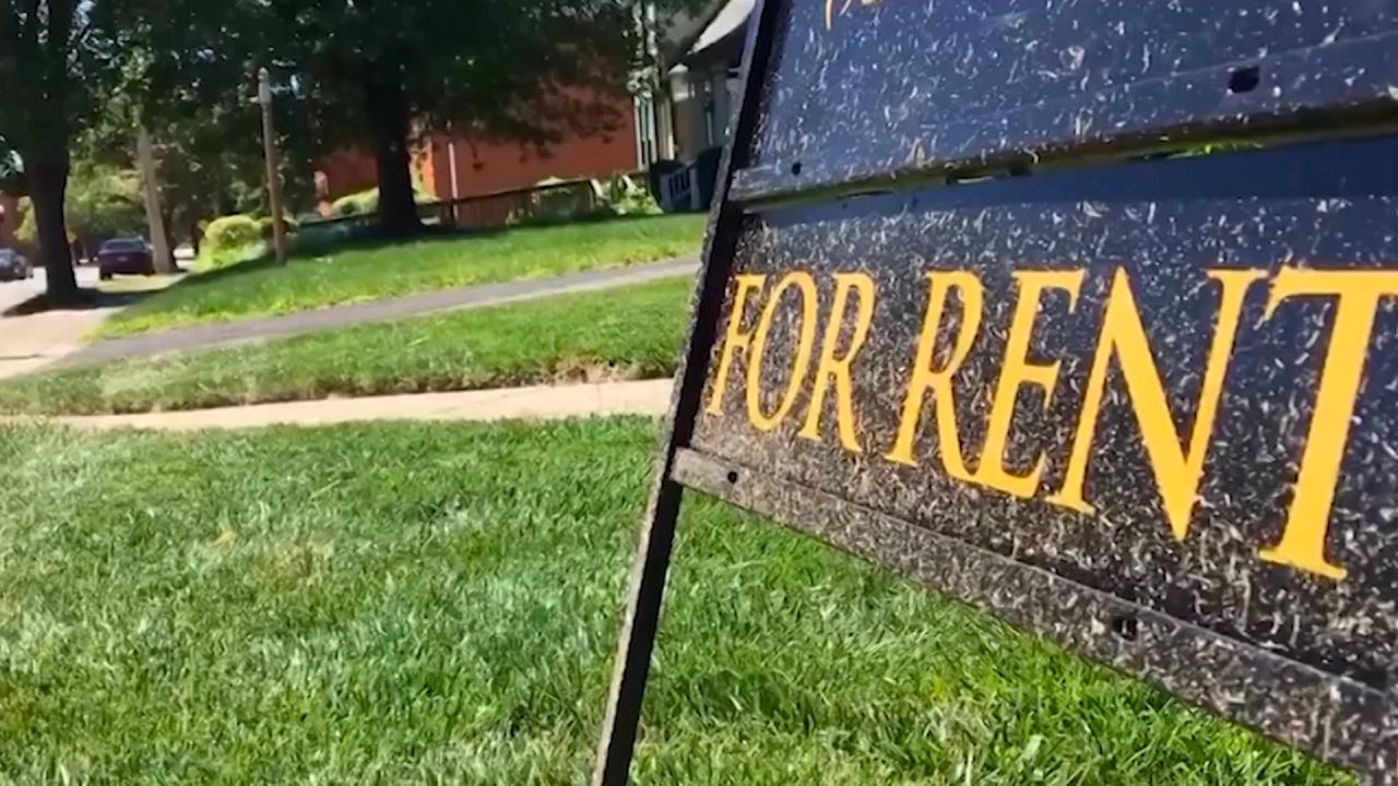 A for rent sign on display in the yard of a residential property 