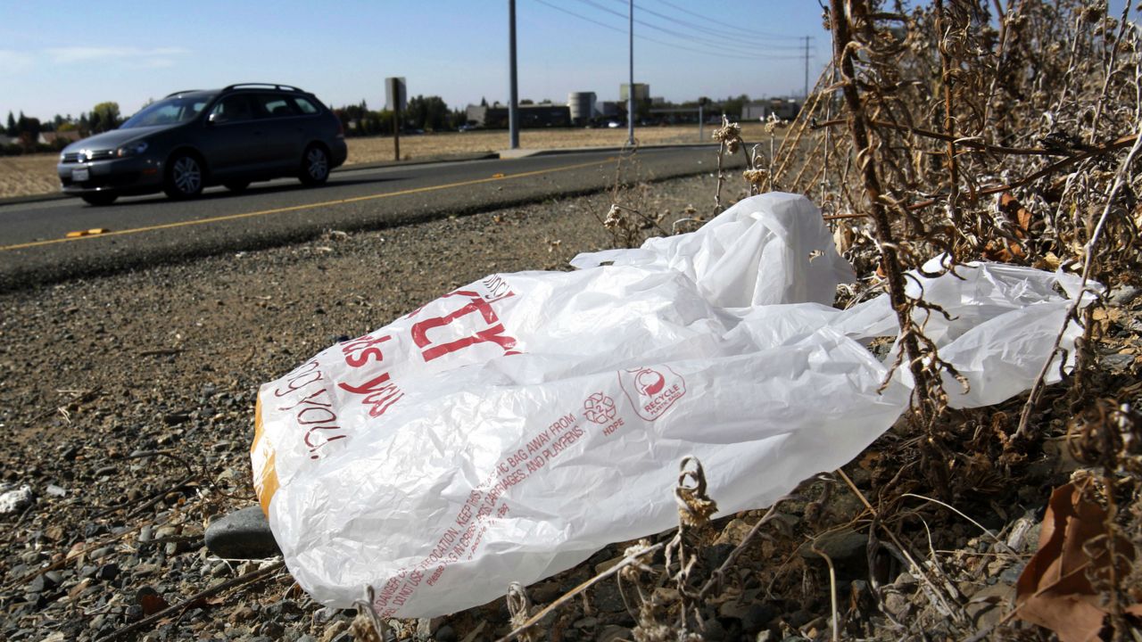 plastic bag, DEC 