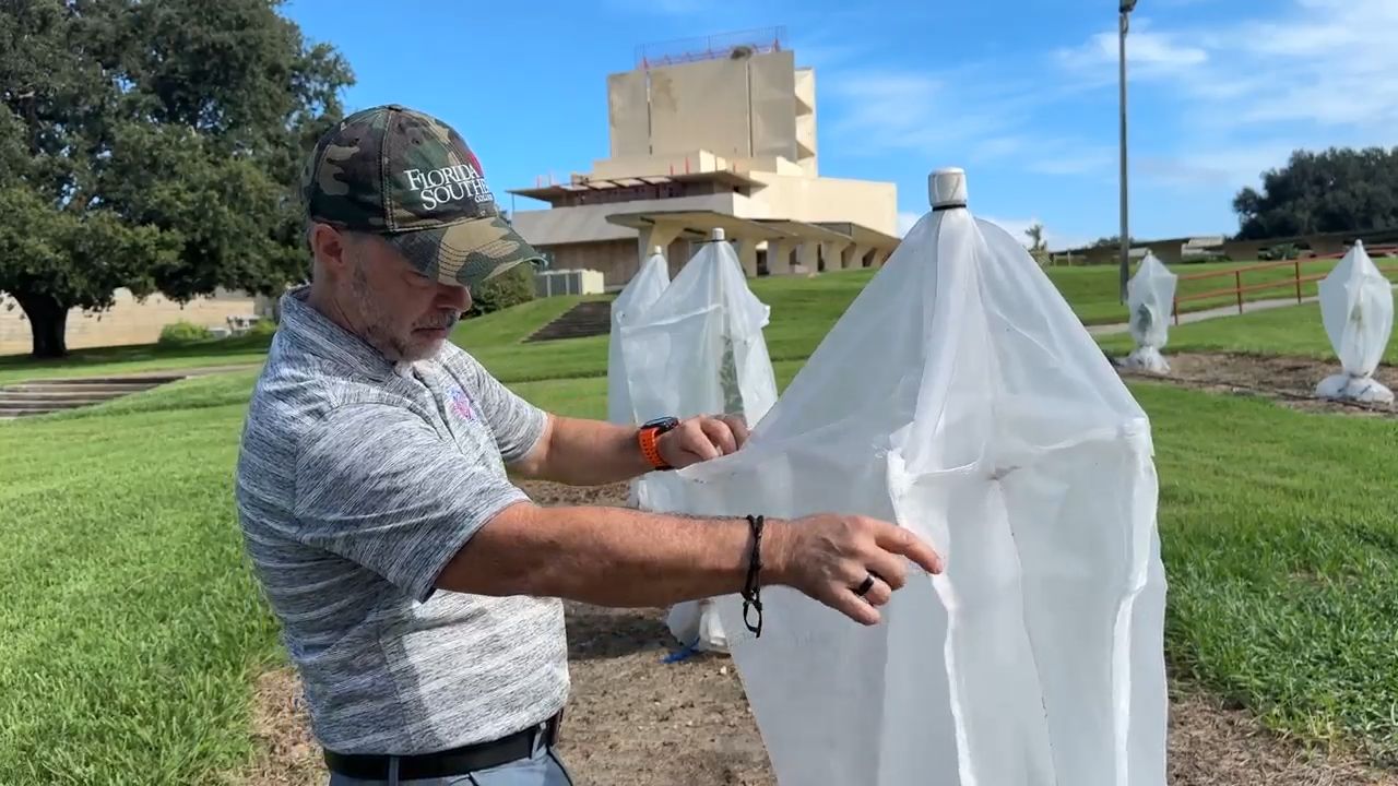 Florida Southern College Creates Living Labs to Fight Citrus Greening