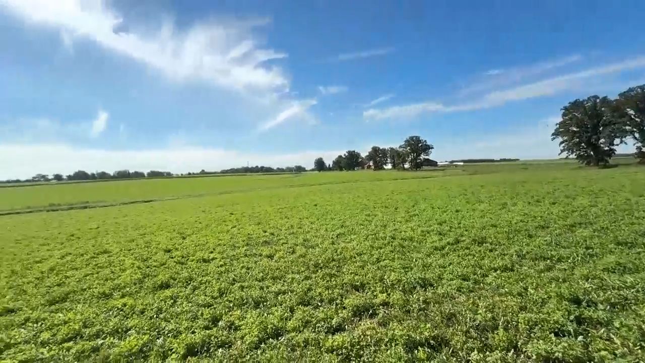 Oshkosh farmer raises concerns over proposed 1,500 acre solar project