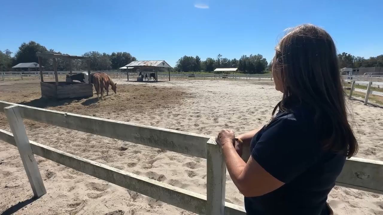 Pasco ranch founder, families asking county commissioners for help to pave Matis Road