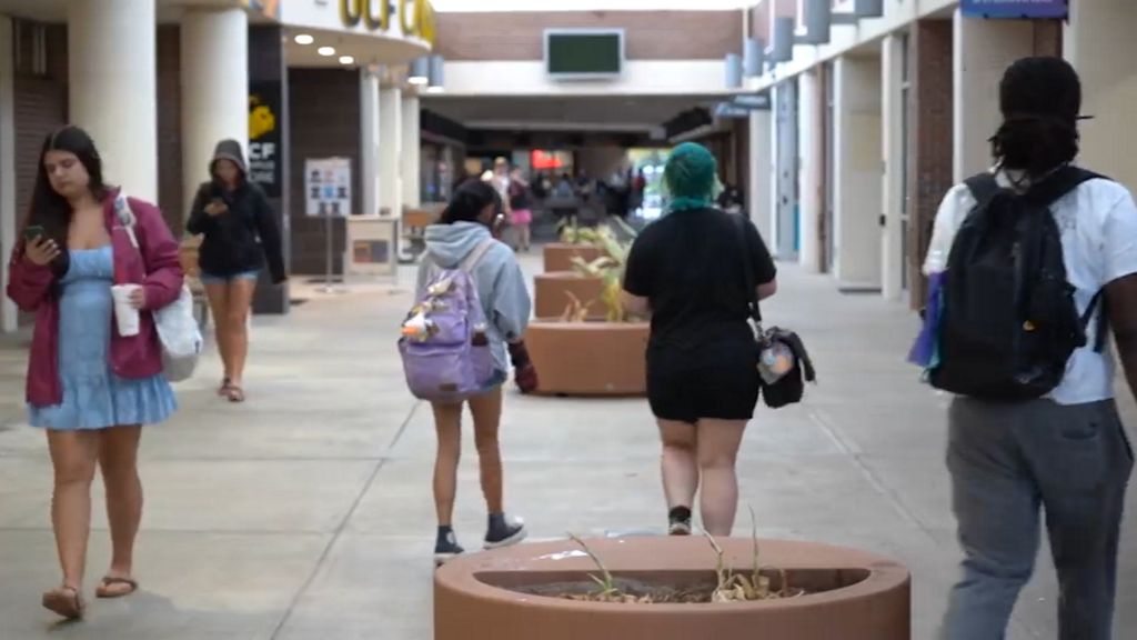UCF students cite affordability, housing and AI as issues of concern ahead of midterms