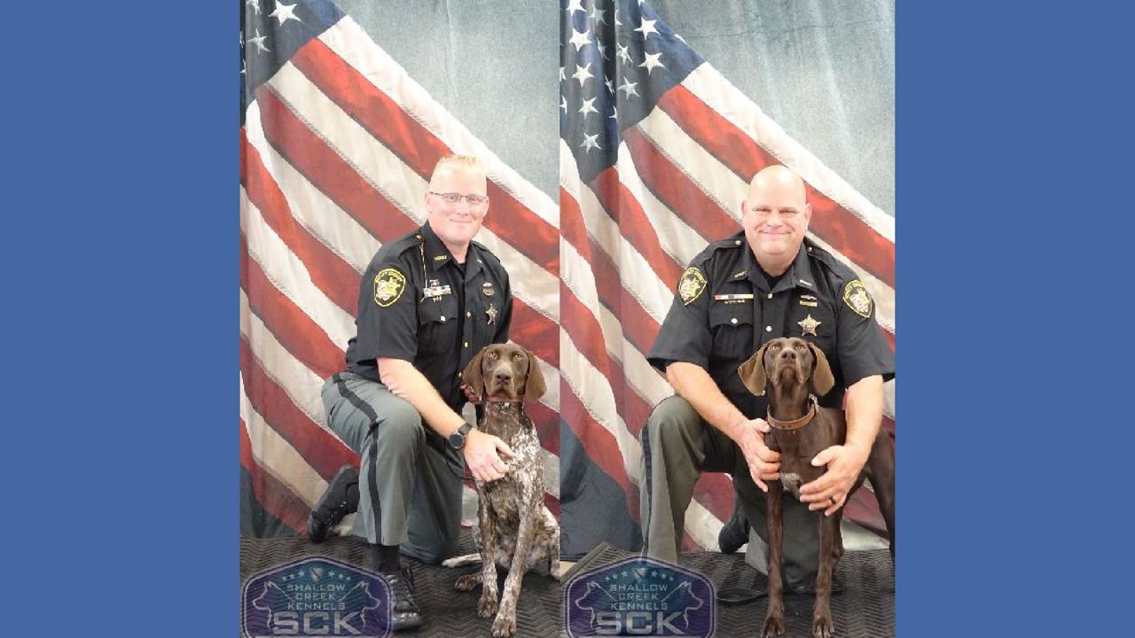 Franklin County Sheriff Corrections K9s Biscuit and Carmen.