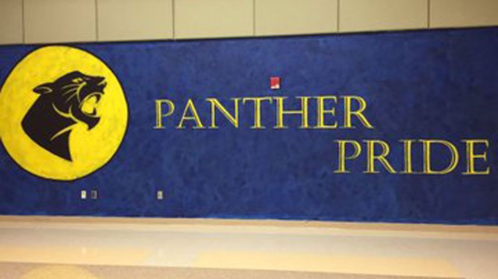The panther pride mural at Freedom Middle School. (Dawn Meehan, Viewer)