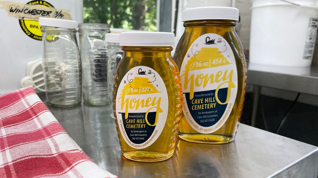 Two bottles of freshly bottled honey (Spectrum News 1/Mason Brighton)