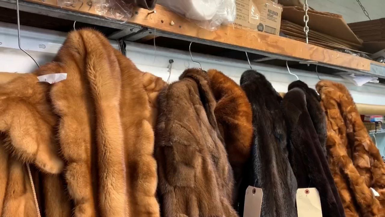 City Council Debates Ban on Fur Garments
