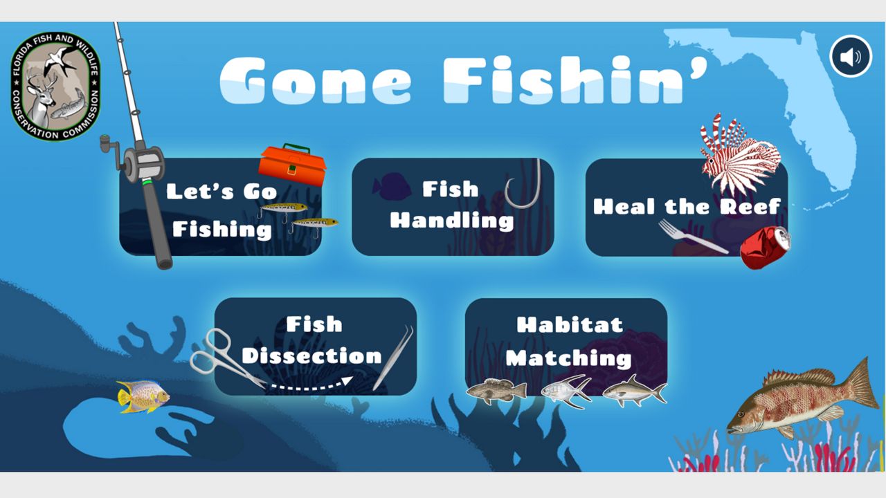 Online Fishing Games 