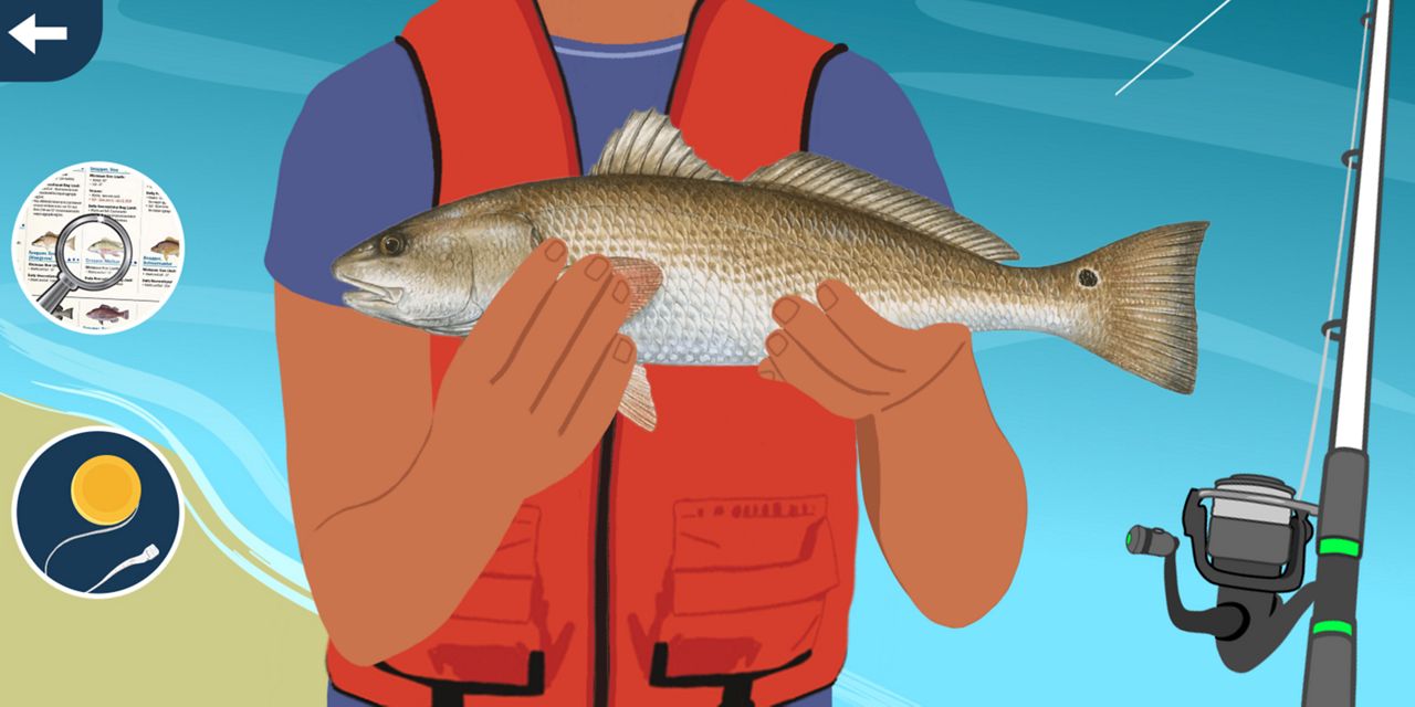 FWC proposes changes to state's rules on redfish angling