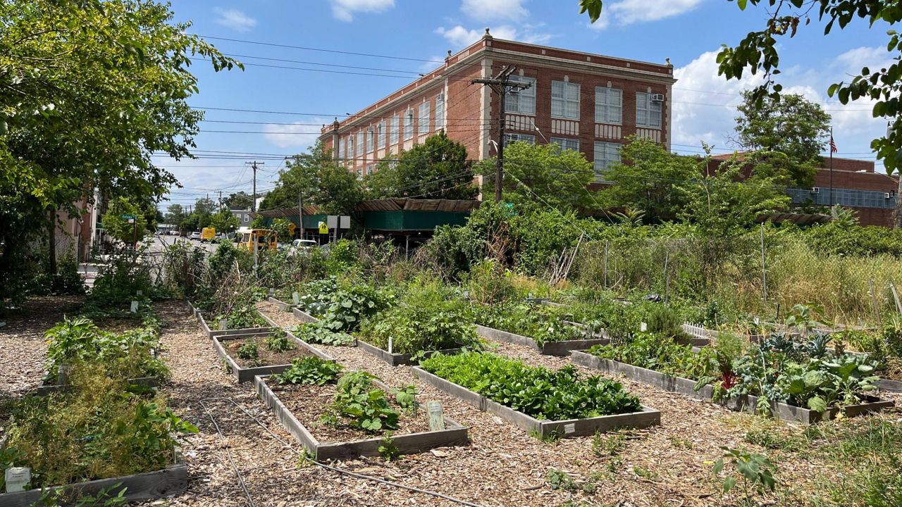 city community garden