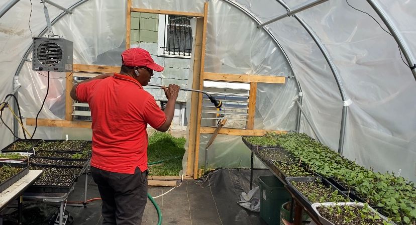 A piece of home through farming in WNY - Vimarsana News