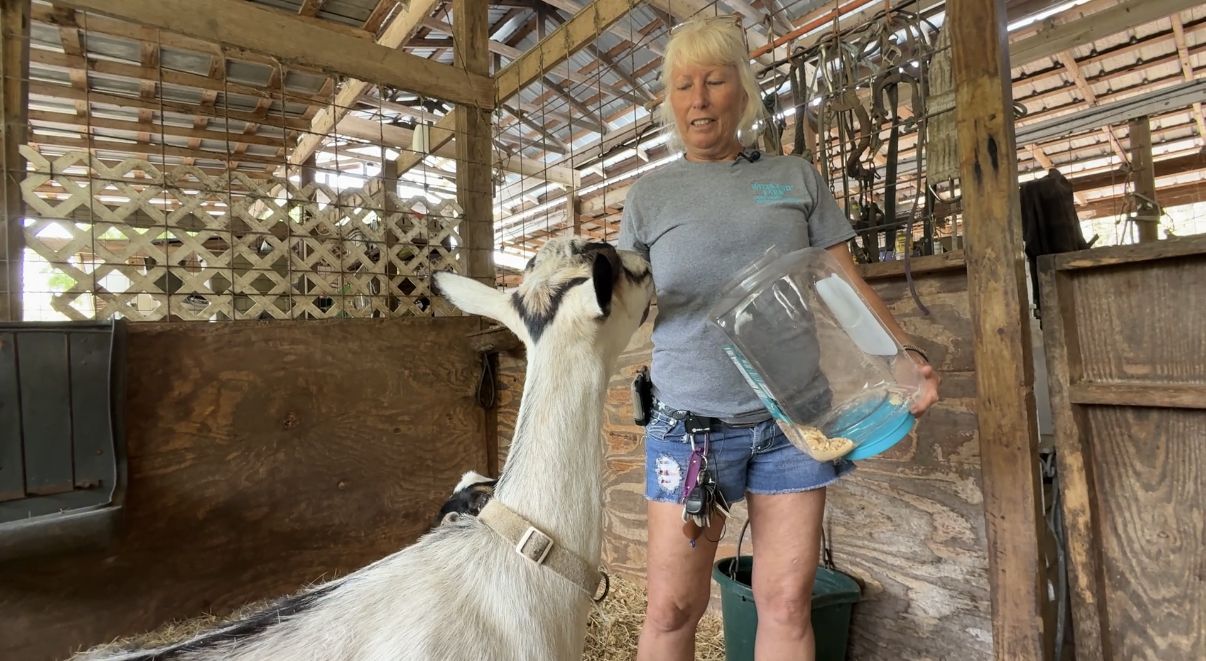 Gas prices take toll on Florida farmers, ranch owners