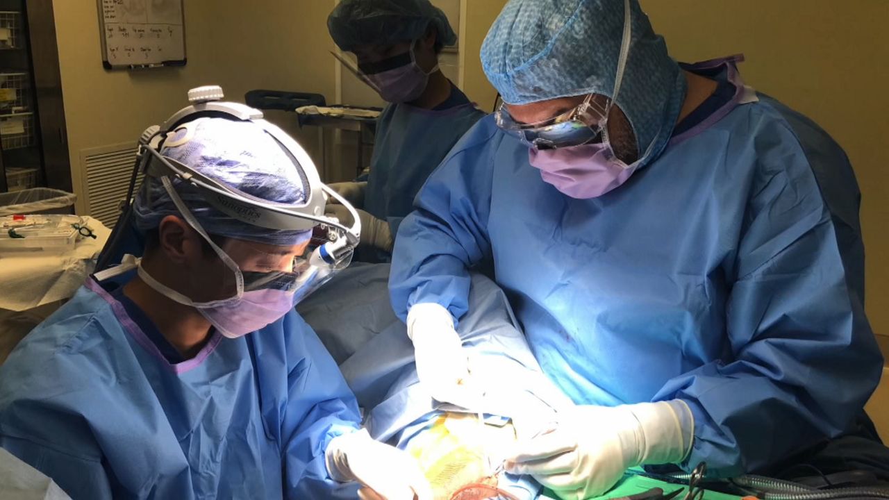 GenderAffirming Surgeries Resume After Pandemic