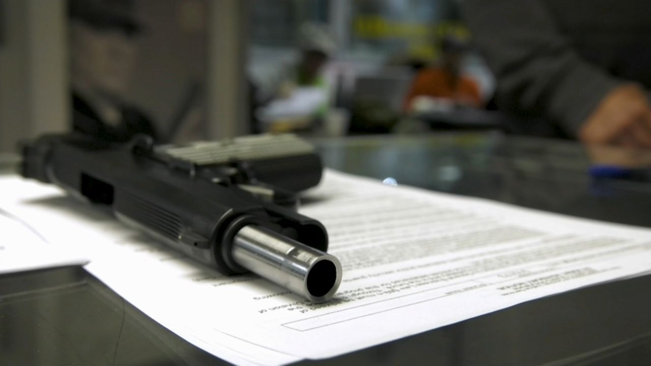 New York Red Flag Gun Control Law Takes Effect This Weekend
