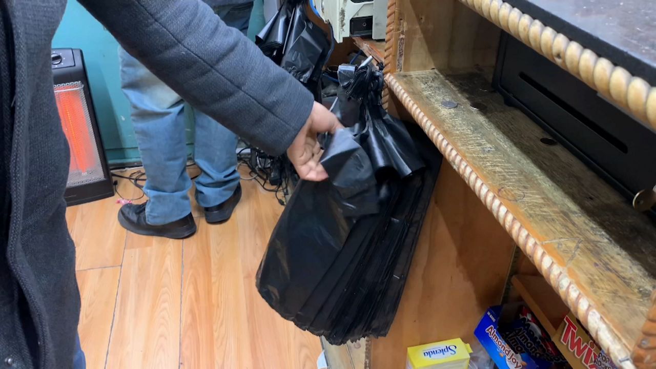 Plastic Bag Ban across New York state is Gaining Support in New York ...