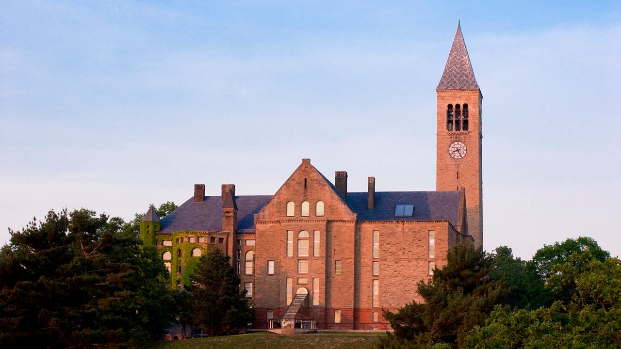 cornell university