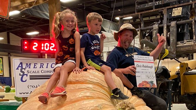 giant pumpkin
