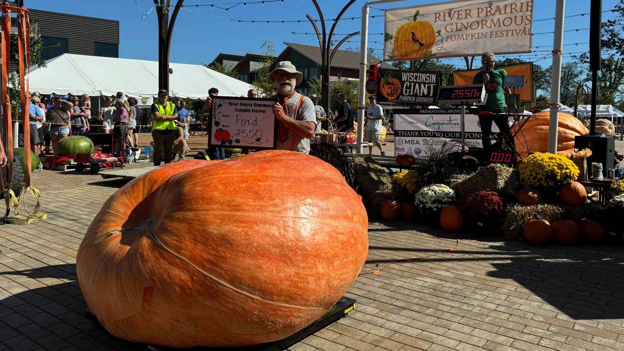 giant pumpkin