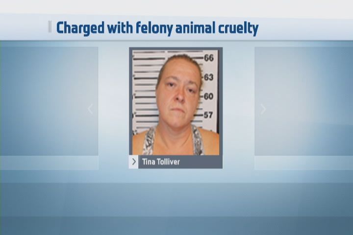 Gibsonville Woman Facing Felony Animal Cruelty Charges