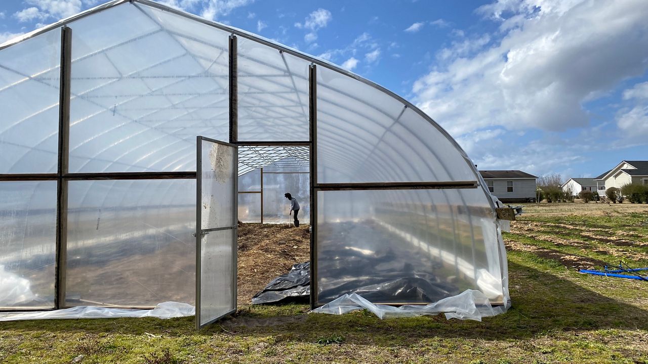 Golden Organic Farm