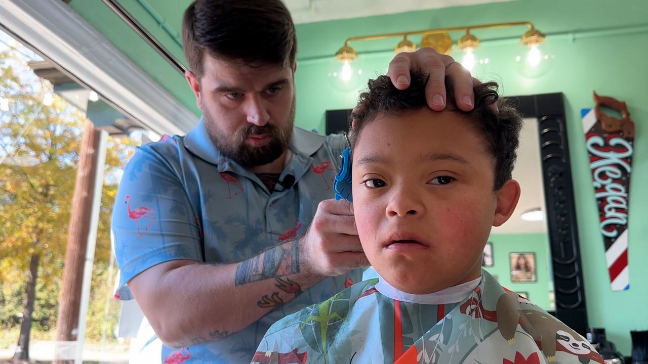 Goldenrod provides sensory haircuts