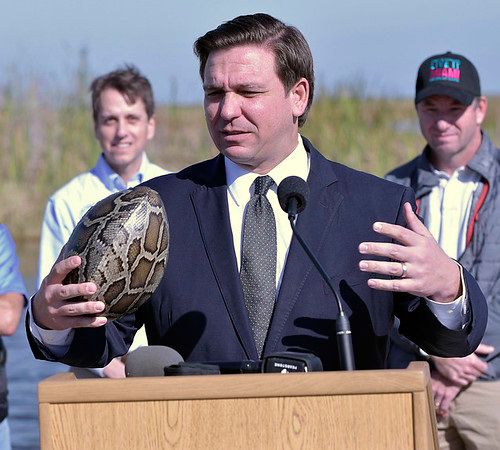 Gov. Ron DeSantis at The 2021 Florida Python Challenge.