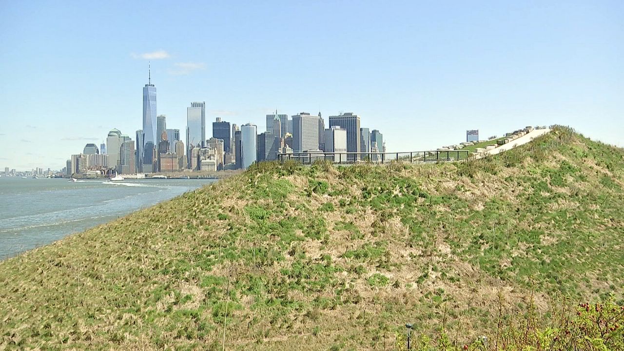 New York City Greenery Absorbing All Traffic Emissions on Many Summer Days  - Yale E360