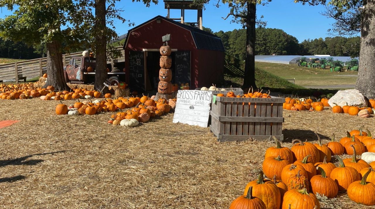 Gross Farms honored at North Carolina State Fair