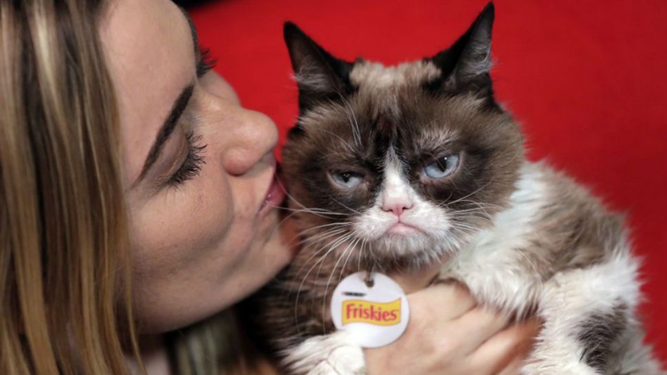 In this Nov. 14, 2016 file photo Grump Cat poses for a photo with her owner, Tabatha Bundesen in New York. (AP Photo/Richard Drew)