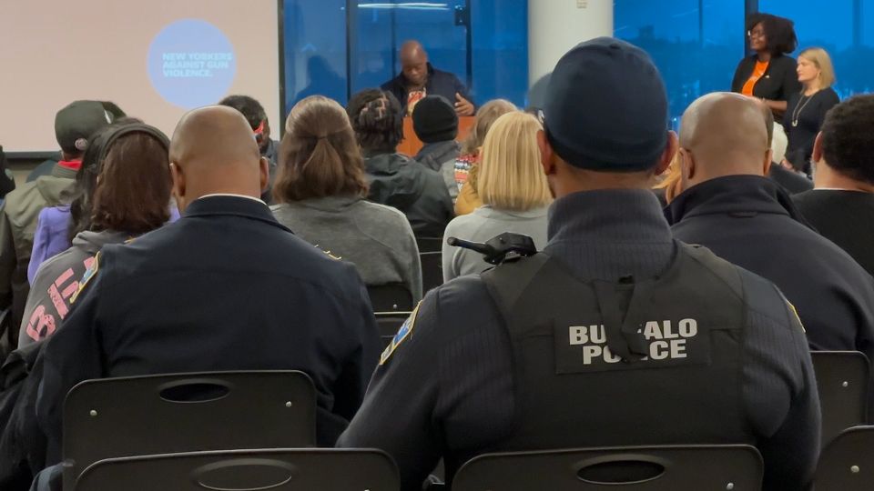 Panel on gun violence in Buffalo